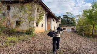 Divorced Woman Returns Her Hometown to Renovate Long-Abandoned Old House And Live With Her Child