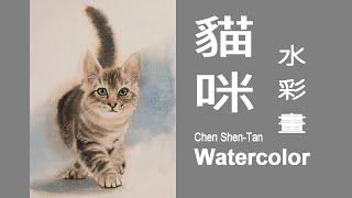 可愛貓咪/Lovely cat/ Chen Shen-Tan #Watercolor#sketch#draw#art#painting#artist#水彩畫#素描#繪畫