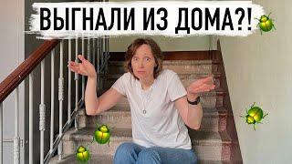 Клопы выгнали из дома?!