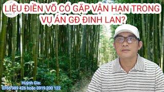 Điền Võ Có Liên Gì Đến Vụ Án Gia Đình Đinh Lan?