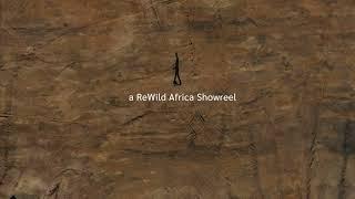 A ReWild Africa Showreel | Teaser One #shorts