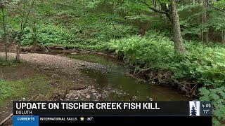 MPCA: 1.7 million gallons of chlorinated water killed Tischer Creek fish