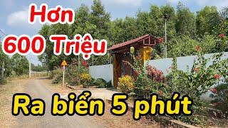 Đất Giá Rẻ Gần Biển Chỉ Hơn 600 Triệu Ở Phước Hội, Bà Rịa Vũng Tàu Gần Sân Bay Hồ Tràm