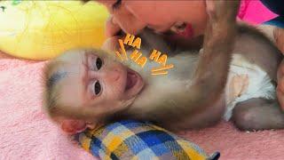 Cute baby monkey Tina is so funny when her mother tickles her armpits