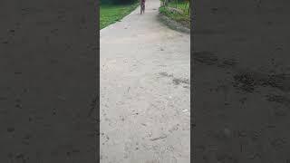 #rider #Deepak #Badmash #Lalganj #ke #rahne #wala #hai #viral #video