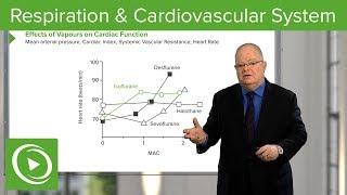 Anesthesiology: Respiration & Cardiovascular System – Anesthesiology | Lecturio