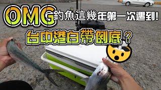 台中港北堤十年來第一次遇到 #馬加 ,可是 #白帶魚 哩?! #fishing #釣り #pangingisda #台中港北堤 #釣魚