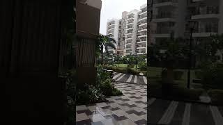 Gulshan Ikebana sec-143 Noida call 7017258796