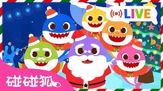 [ LIVE  ] 聖誕快樂！ 鯊魚寶寶 碰碰狐 聖誕歌曲 動畫 直播  Merry Christmas ＋更多 兒歌 卡通 故事 連續播放 | 鯊魚一家 Baby Shark Pinkfong