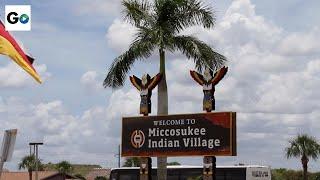 Miami History: Miccosukee Indians & The Everglades