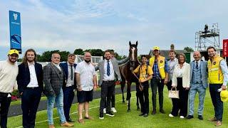 An Honest Day As A Racehorse Owner - Holy Fire 