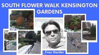 South Flower Walk Kensington Gardens | Fraz Haider #southflowerwalk #kensingtongardens