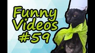 FUNNY VIDEO COMPILATION COUB #59 | SPICY MEME HOUSE