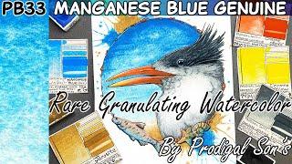 PB33 Manganese Blue Genuine Watercolor Spotlight - Granulating Rare Pigment Available Prodigal Son's