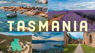 Tasmania - Bay of Fires, Hobart, Bicheno, Freycinet National Park 4K Video