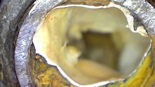 Failures Of Epoxy Liner in Domestic Potable Water Systems
