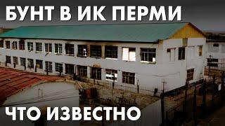 Бунт в одной из крупнейших колоний РФ в Перми: что известно, что замалчивают и что будет