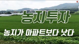 농지투자  3,000% 수익률