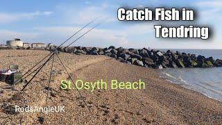 Catch Fish in Tendring: ST.OSYTH - Hutley’s Beach