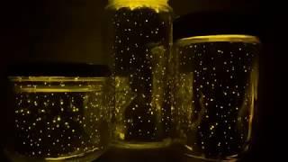 AOP Science at Home: Make your own Stars in a Jar