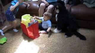 Dylan'sFirstBirthday.wmv