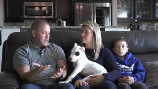 Dogo Argentino as family protection dog, World Class K-9 Testimonial