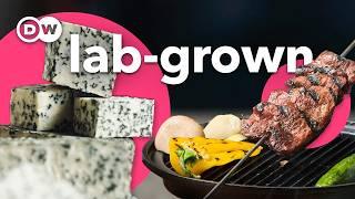 How to make lab-grown cheese and steak