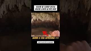 어? 바오밥 나무에서 5천년간 살 수 있는 이유