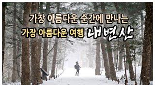 국내여행 다큐 / 겨울 여행의 백미 내변산 설경 / 가장 아름다운 순간에 만나는 가장 아름다운 여행 / 부안, 내소사, 변산반도 국립공원, 직소폭포 / 국내여행지추천, 여행유튜버