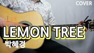 [꿀쉬움곡]레몬트리 LEMON TREE- 박혜경[ 통기타 커버, 연주,강좌 l Acoustic Guitar Cover ]