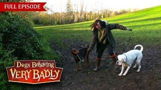 Dogs Behaving Very Badly: Series 3 - Episode 10 | Full Episode