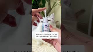 How to Clean Cats Ears With This Trick!