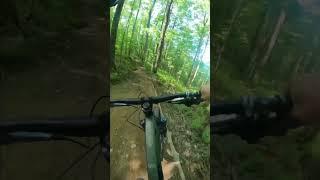 When you’re cooking on a trail, then a tree gets in your way. #mtb #mountainbike #holimontbikepark