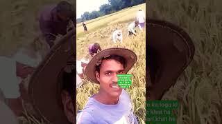 Assam ka logo ki porompora khati,rice khat ha ye #shorts #ricekhat #Assam