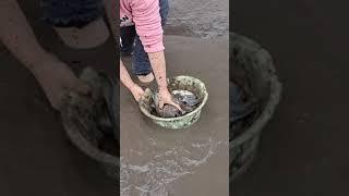 fishing, fishing tips, best fishing techniques, Fishing Techniques, with Phann Phuy Fishing