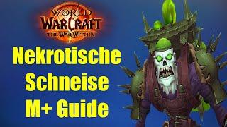 Nekrotische Schneise M+ Guide | WoW War Within Season 1