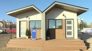 Tiny homes built for homeless veterans