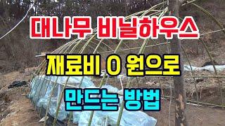 재료비 0원으로 10평 비닐하우스 만들기, 대나무 비닐하우스 만드는 방법 소개