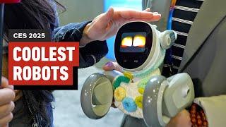 The Coolest Robots at CES 2025