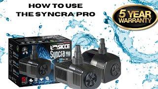 SICCE SYNCRA PRO | How to Set-Up & Install