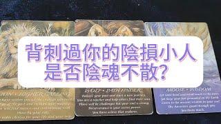 塔羅占卜| 背刺過你的陰損小人是否陰魂不散？有何企圖？