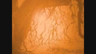 Golden Void Shady Grove