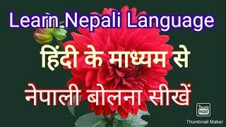 हिंदी शब्द नेपाली अनुवाद। Learn Nepali Language। नेपाली बोलना सीखें। daily used nepali sentences