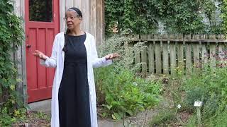 PHS Talks: Rediscovering the Hutchison House Herbal Garden with Kelly McDowell