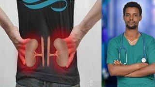 Dhibee kalee fi mallattoolee dhibee kalee(Kidneys diseases)