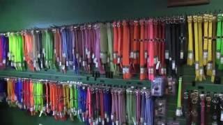 Lion Country Supply DayGlo and LeatherFeel Dog Collars