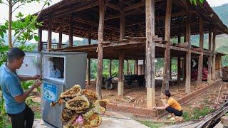 Building a House Foundation, Raising Honey Bees in an Old Refrigerator, Is It Good?