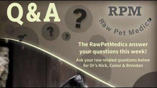 Q&A | Raw Pet Medics