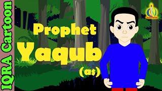 Prophet Stories YAQUB (AS) | Islamic Cartoon | Quran Stories | Islamic Children Kids Videos - Ep 11