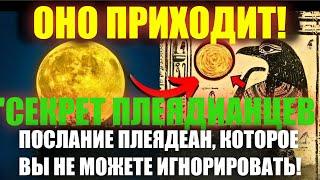 ГОТОВЫ вы или НЕТ... Это происходит! 5 ЯНВАРЯ 2025 ГОДА!СРОЧНОЕ сообщение от Плеядеанцев, которое не